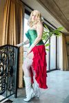 Painted Lady Xxxmas