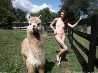 Naked In The Green