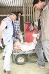 Miley May - Axel Braun's Farmer Girls