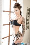Felicity Feline - First Class POV