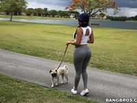 Diamond Kitty - Mr Anal