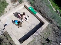 Danica Dillon -  Drone Hunter