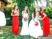 Casey Calvert - Wedding Belles
