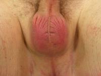 Filipina chick Annie Cruz sits on a restrained man's face while having sex - Photo #1
