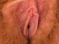 Amateur model with hairy pits and snatch poses nude in a backyard - Photo #21