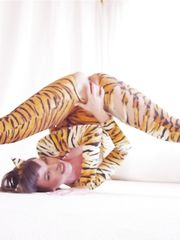 Dana DeArmond - Analmals