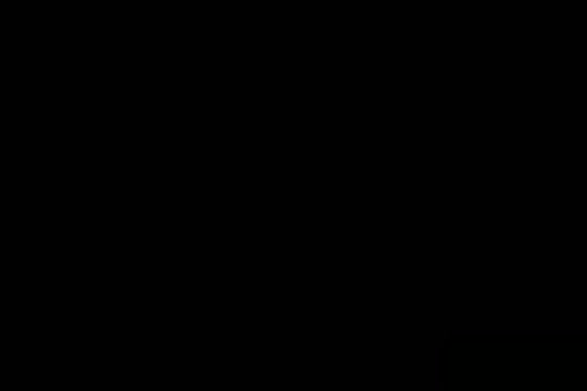 J13117 219d Miwak
