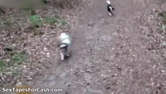 Nasty brunette slut gets horny walking