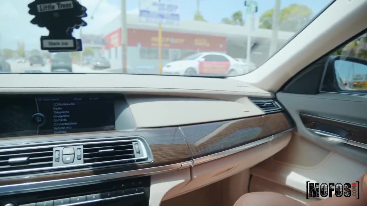 Gorgeous brunette with a big, round ass is fucking a rich stranger in his car