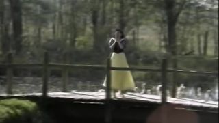 Snow White and the seven Dwarfs