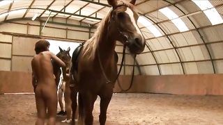 Nude babes are pampering their horses while guys are staring at them all the time