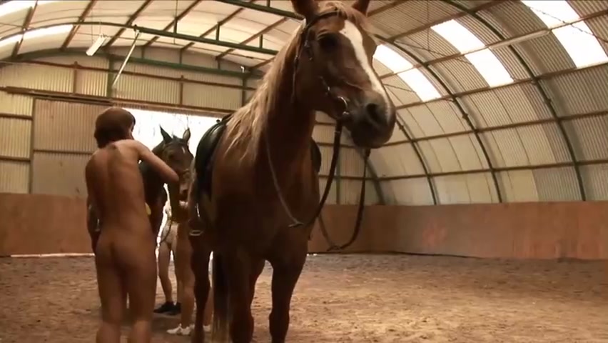 Nude babes are pampering their horses while guys are staring at them all the time