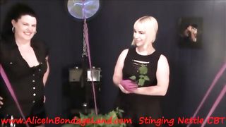 Stinging Nettles EXTREME FEMDOM CBT Intro