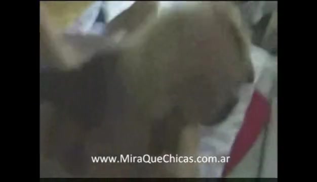 Pendeja coje como los dioses