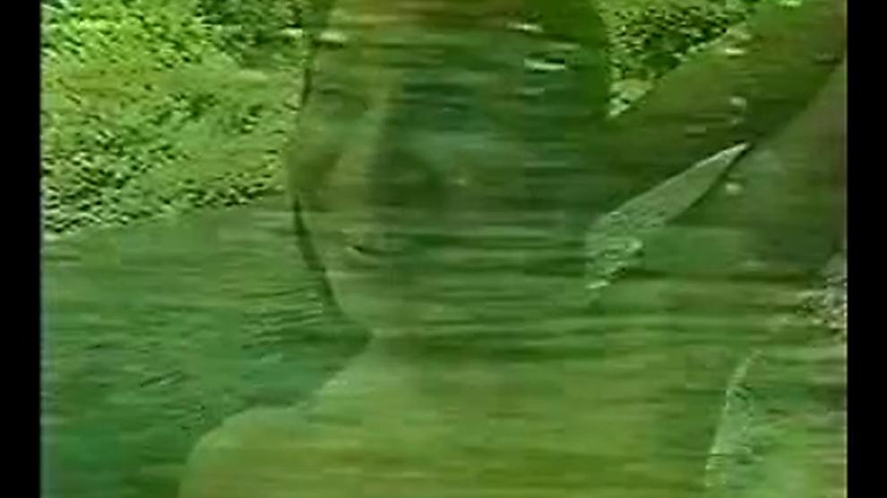 PANOCHITAS 4