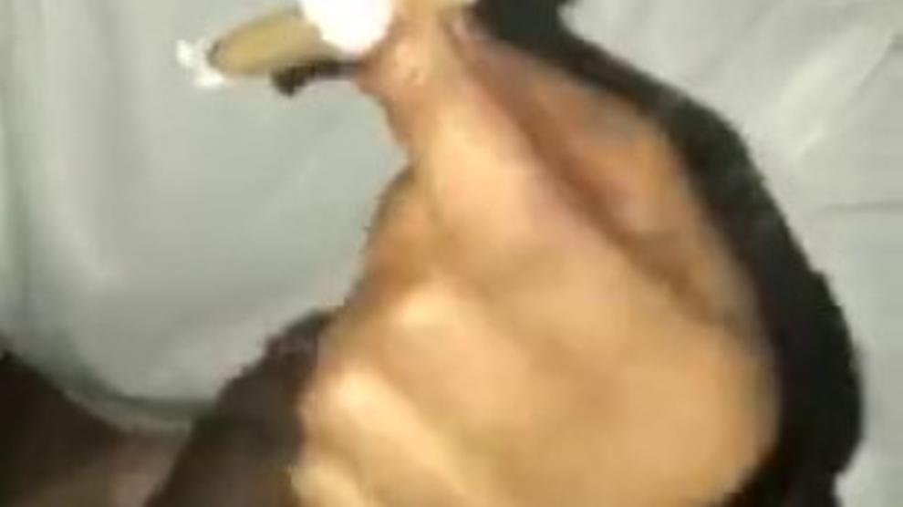 Suck that Dick Bitch