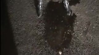 MIjada de noite