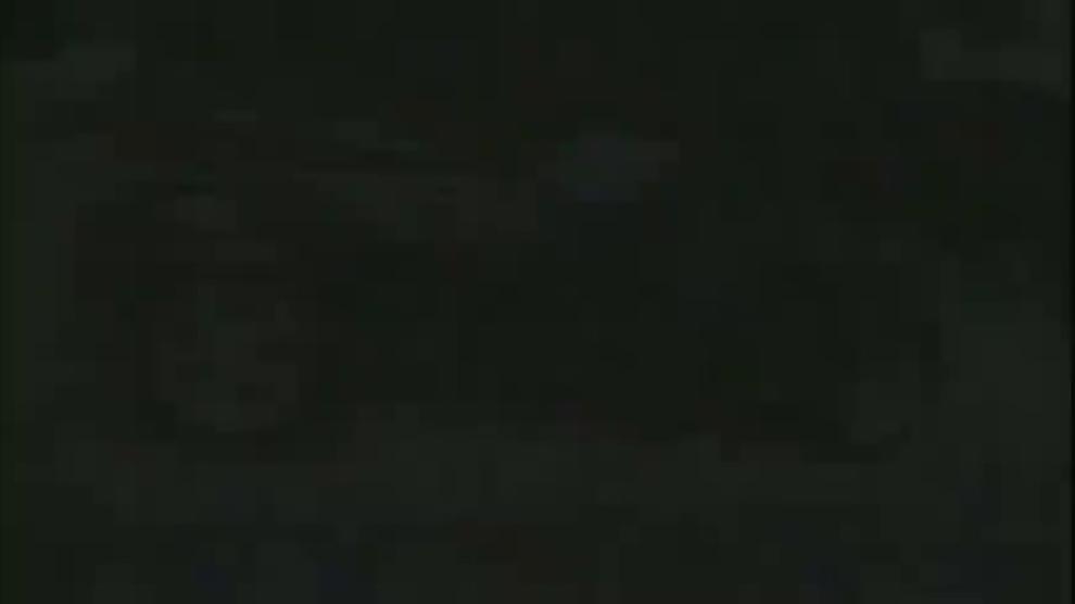 Dalia Goes Prowling