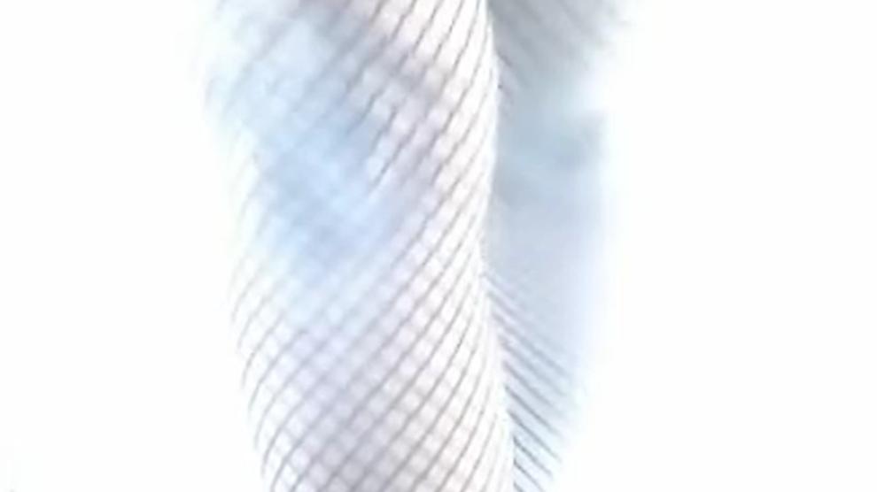 Legendary Porn Star