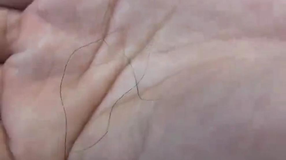 Japanese Pussy Plucking - Sharking Style! Pt 2 - Cireman