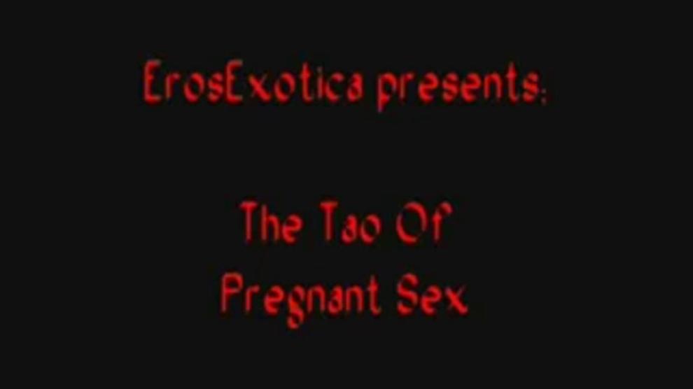 Beautiful Pregnant Sex
