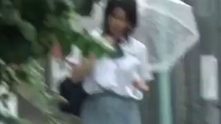 Japanese Schoolgirl Panties