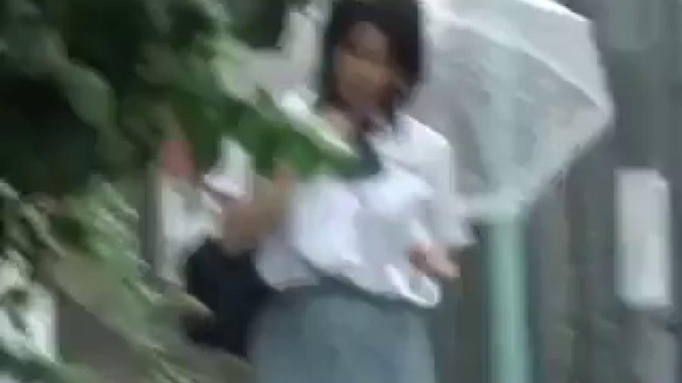 Japanese Schoolgirl Panties