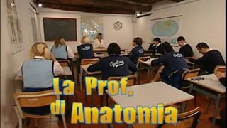 Professor of Anatomy