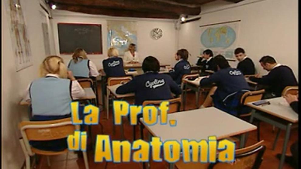 Professor of Anatomy