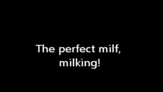 Perfect Milker