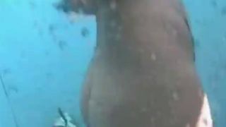 Hot ass chick taking a shower on hidden cam