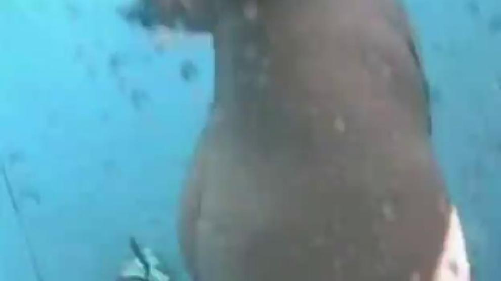 Hot ass chick taking a shower on hidden cam