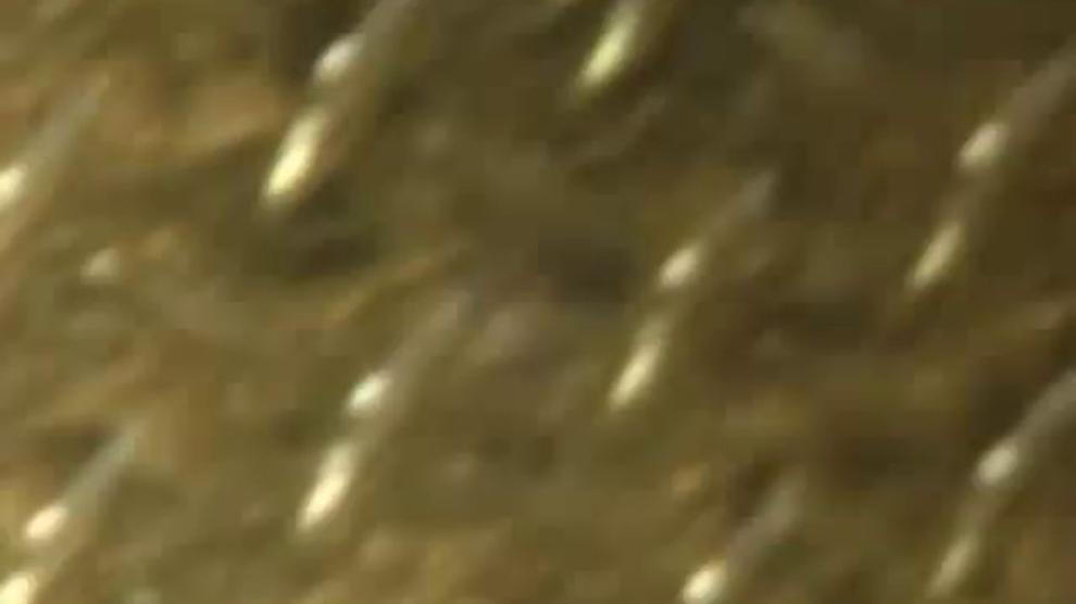 Another blonde gets slayed by monster cock