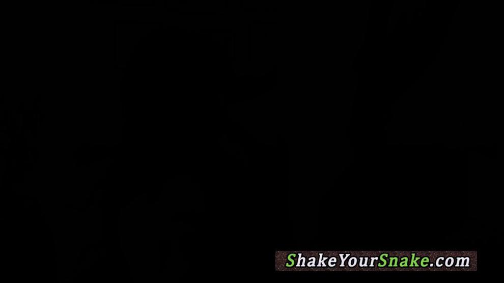 SHAKE THE SNAKE - Lingerie girlfriend sucking dick before sex