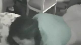 Girlfriend gets pussy fucked by two horny guy