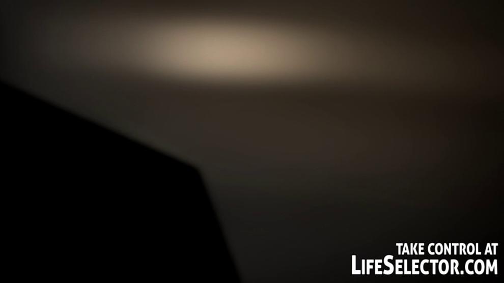LIFESELECTOR - Full Time Office Stud