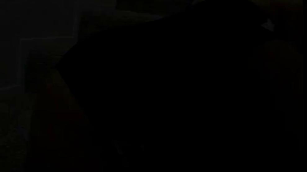 TEASE ME THEN PLEASE ME 5 - Scene 3