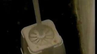 Deepest anal on toilet