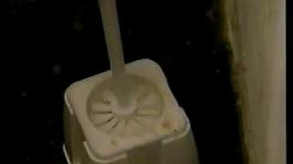 Deepest anal on toilet