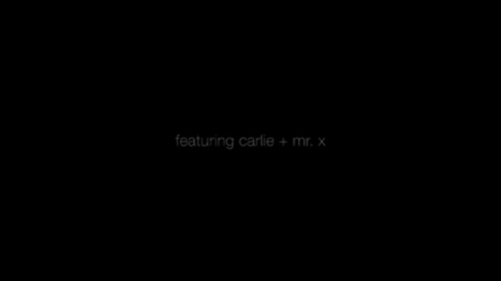 Carlie and next generation porn