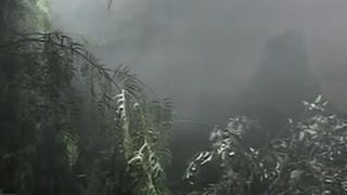 Invasion - video 1