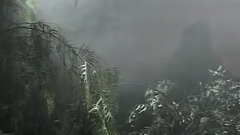 Invasion - video 1