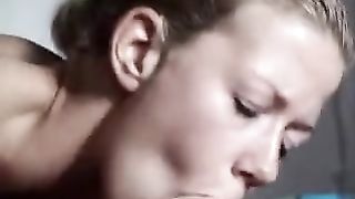 Every Man 27s Dream Blowjob - Free HD every man%27s dream blowjob Porn Video