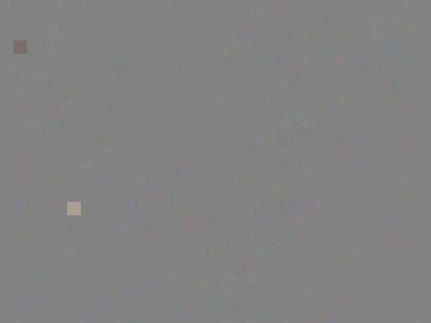 live webcam