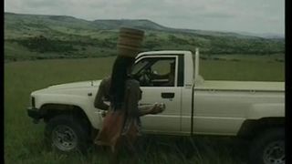 South African Safari Love