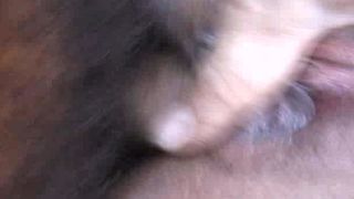 Piss: Italian Car Threesome Trombata