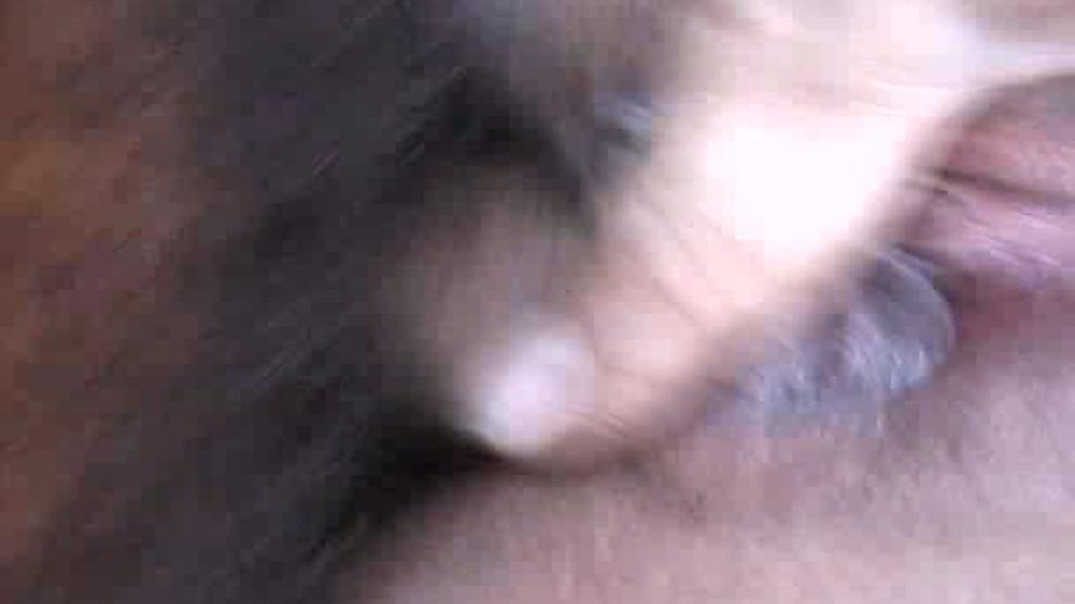 Piss: Italian Car Threesome Trombata