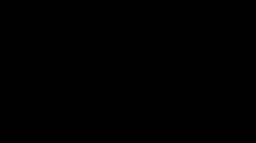Public sex in the city bus