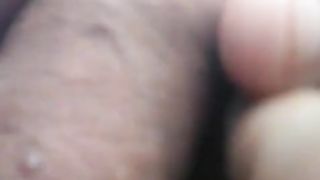 Cock Flash Bus 3