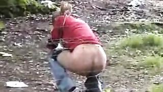 voyeur de la foret